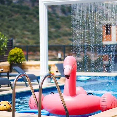 Villa Belmora Asgora *