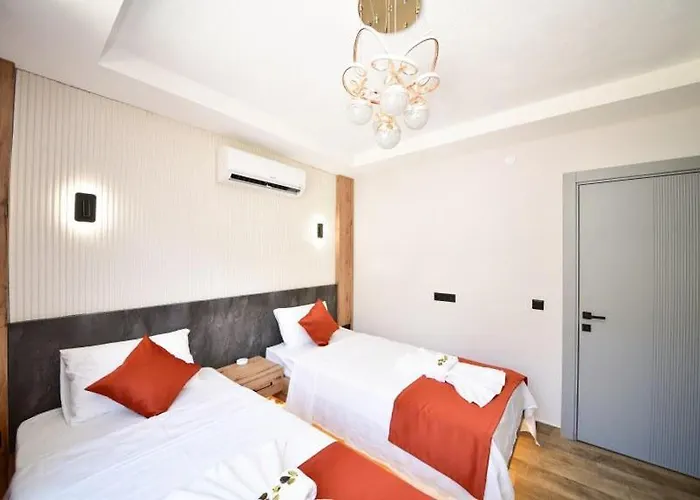 ヴィラ Belmora Asgora